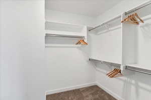 Walk-in closet featuring white shelving, multiple chrome hanging rods, and carpet flooring