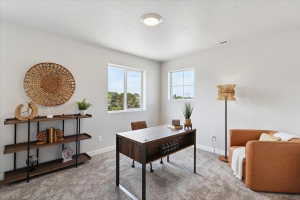 Bright room with multiple windows offering natural light