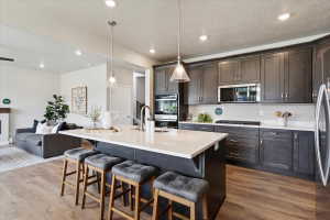 Modern kitchen featuring dark cabinetry, stainless steel appliances, a center island with sink, pendant lighting, and wood-finish flooring