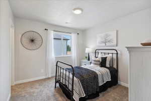 Carpeted room featuring a single window with white trim, a flush-mount ceiling light, and light gray wall paint