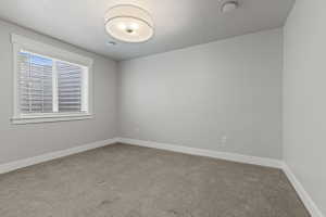 Bedroom featuring neutral-toned wall paint and textured carpeting
