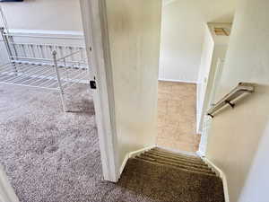 Carpeted staircase descending to a tiled lower level