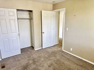 Carpeted room featuring a bifold closet with white paneled doors, a single closet rod, and an additional white paneled door with a brass-finish knob
