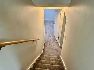 Carpeted staircase with a wood handrail descending to a lower level with a carpeted hallway and a paneled interior door
