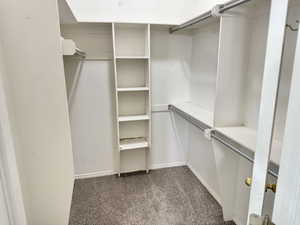 Walk-in closet featuring built-in shelving, hanging rods, and carpet flooring