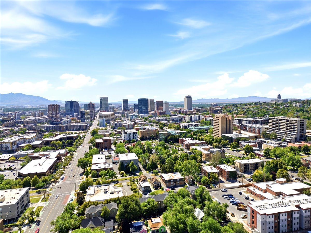 Expansive city skyline featuring various commercial and residential buildings, surrounded by abundant green tree canopies