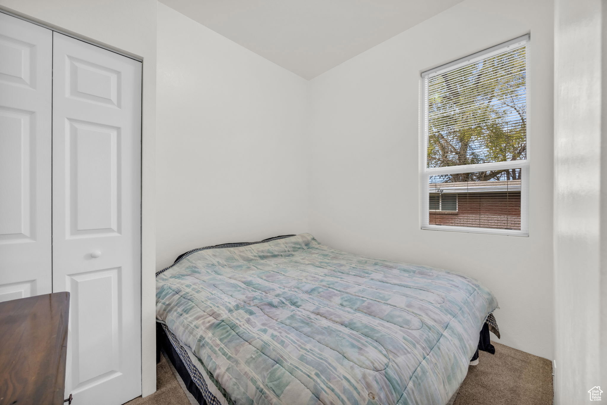 Compact room featuring a single window with blinds, carpet flooring, and a bi-fold closet door