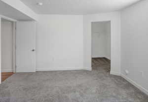 Spacious room with plush gray carpeting, white walls, and bright white trim