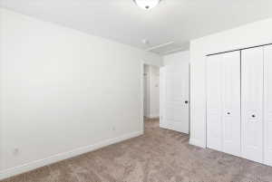 Neutral color palette featuring wall-to-wall carpeting, white baseboards, and white walls