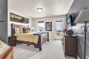 Carpeted bedroom featuring a private balcony access, two windows, and a ceiling-mounted light fixture