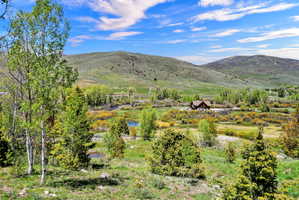 View from main house