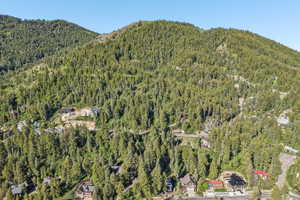 Expansive mountain landscape featuring dense evergreen forests and multiple residential properties