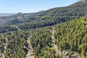 Mountainous landscape featuring dense evergreen forests and winding roads