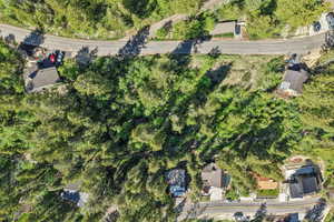 Wooded lot featuring mature trees and sloped terrain