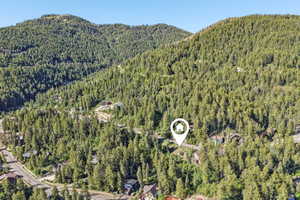 Mountainous terrain with dense evergreen tree coverage