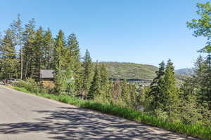 Wood-sided dwelling with a metal roof surrounded by evergreen trees, featuring a paved road in the foreground and a distant tree-covered hillside