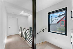 Upper-level landing featuring a skylight, light-colored carpeting, and a modern horizontal bar railing