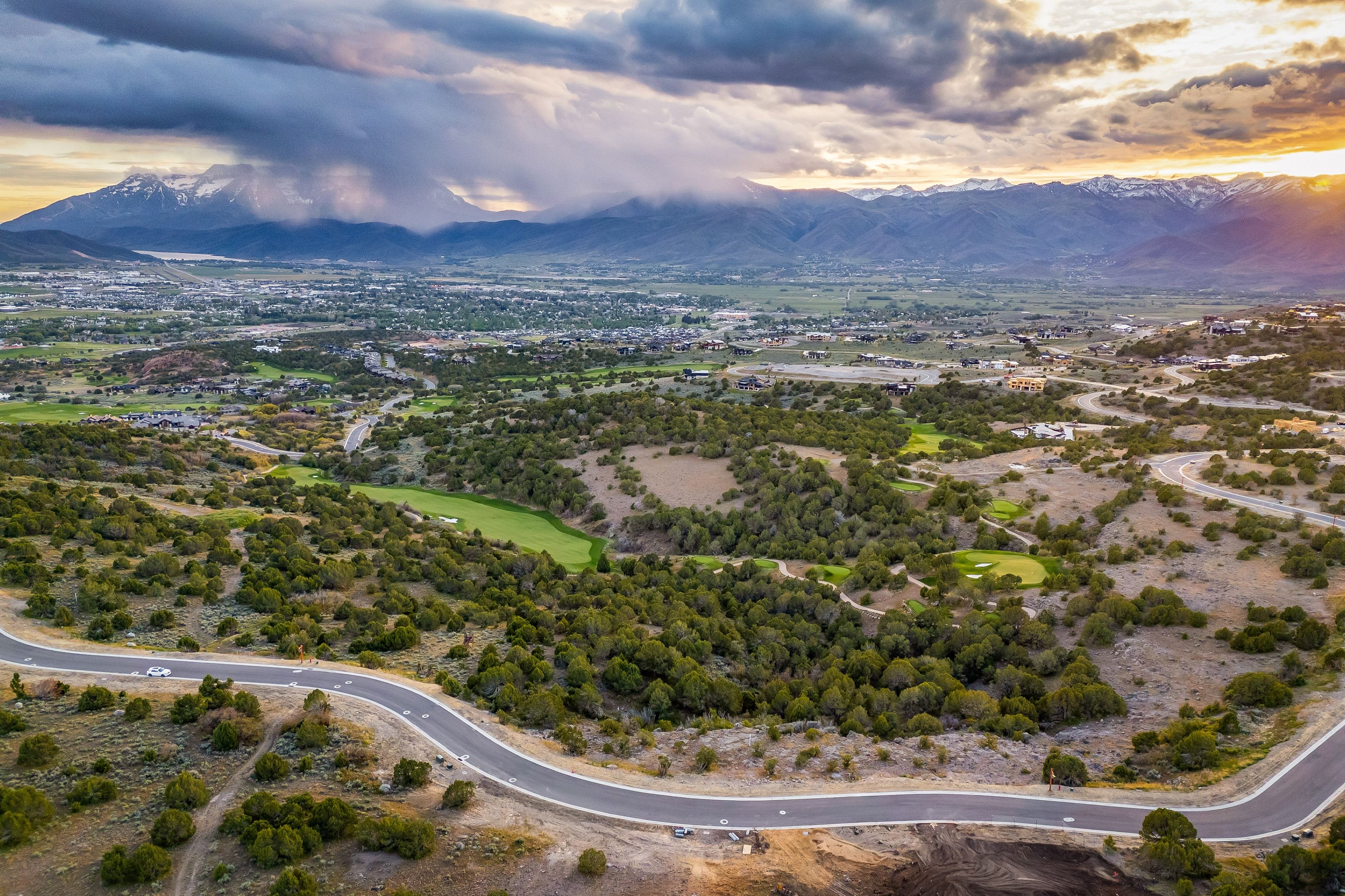 Sweeping aerial perspective highlighting a winding paved road amidst extensive natural landscaping and mature trees