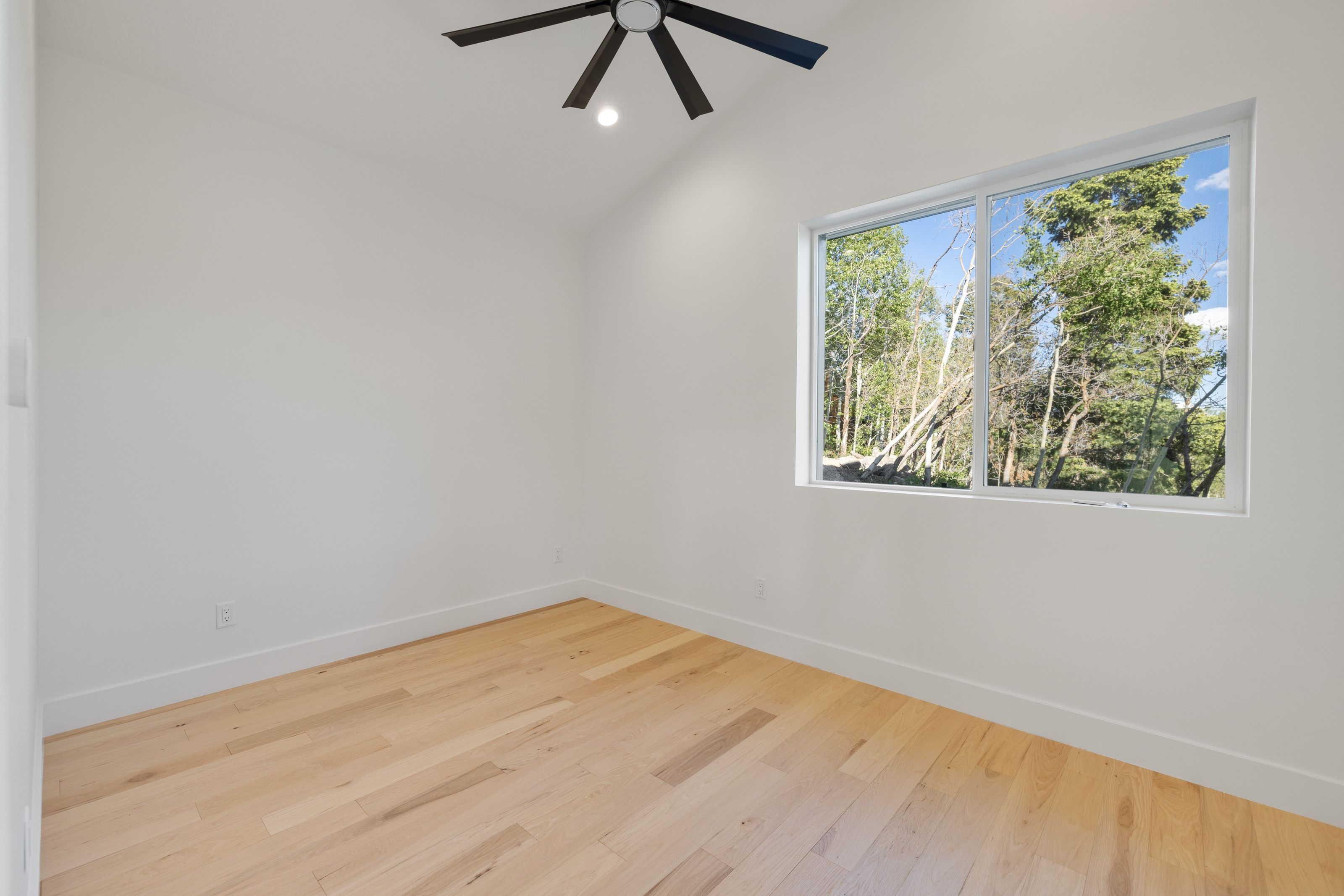 Room featuring light wood-finish flooring, a large window with white trim, and a modern ceiling fan