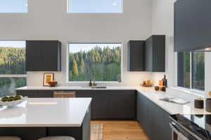 Modern kitchen featuring dark cabinetry, light countertops, wood-finish flooring, and a large central island