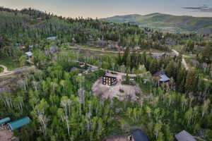 Mountainous landscape featuring abundant evergreen and deciduous trees, with multiple properties nestled amongst the foliage