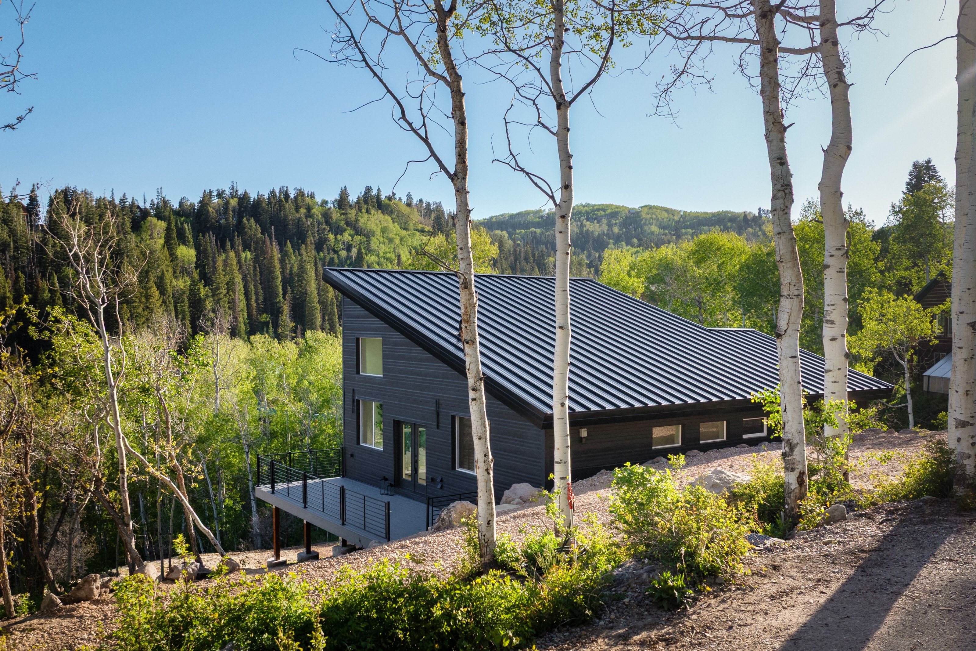 Modern architecture featuring dark horizontal siding and a striking sloped metal roof