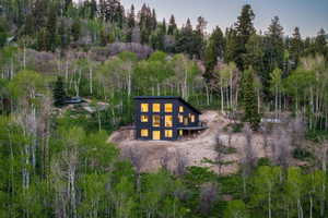 Modern black-clad residence featuring a sloped roofline, multiple square windows, and a raised exterior deck