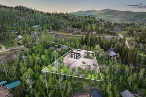Modern mountain home with a dark exterior, set among mature trees and natural landscaping