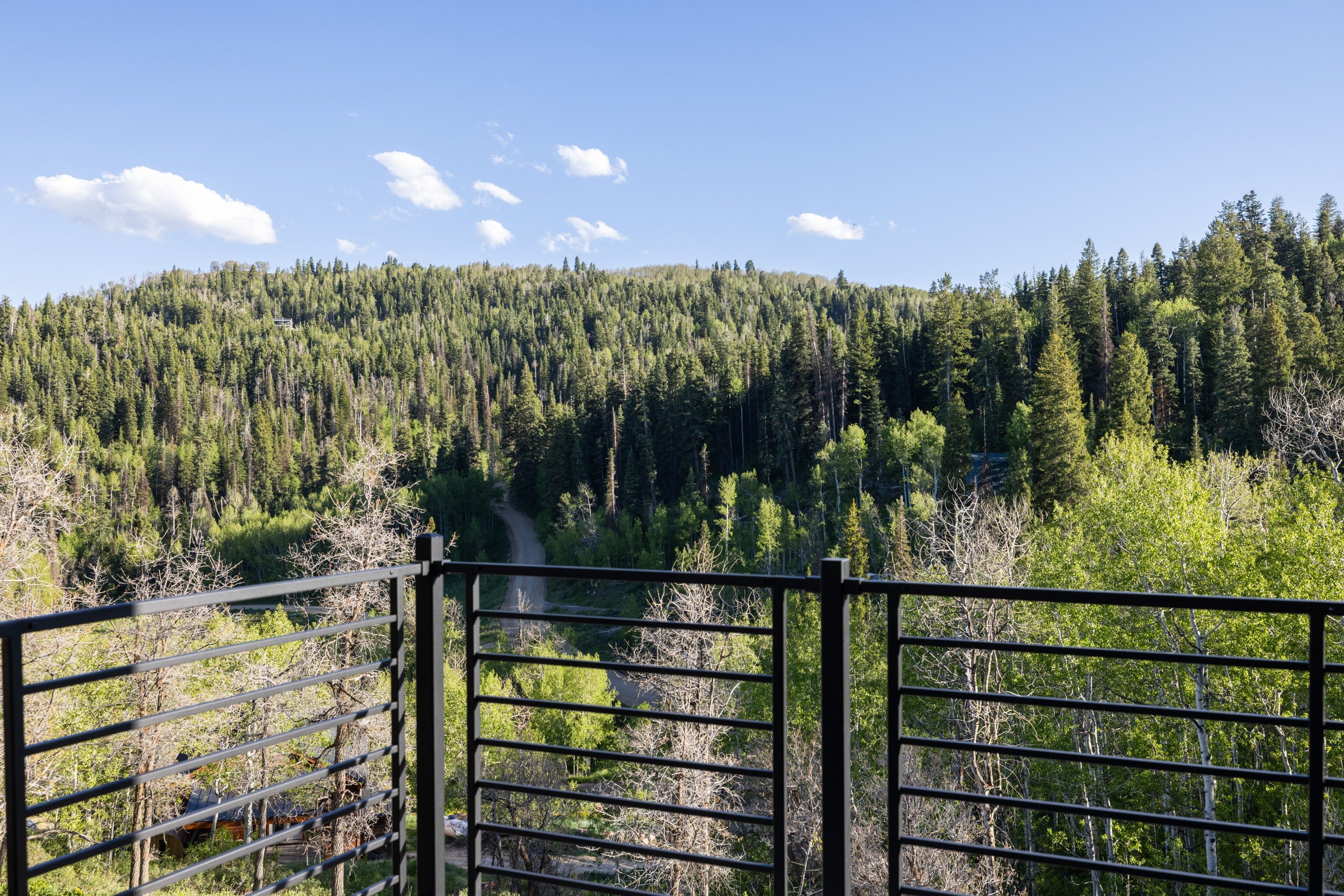 Expansive forested hillside surrounding a natural setting