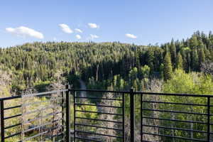 Expansive forested hillside surrounding a natural setting
