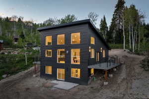 Contemporary exterior featuring dark horizontal siding and a distinctive sloped roofline