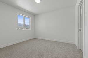Room featuring light gray carpet flooring, white baseboards, and a white ceiling with a flush-mount light fixture