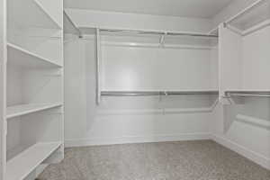 Spacious walk-in closet featuring white built-in shelving, chrome hanging rods, white walls, and a light-toned carpet