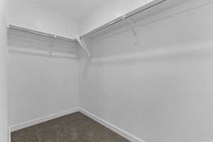 Walk-in closet featuring white walls, white trim, brown carpet, and two levels of shelving with hanging rods