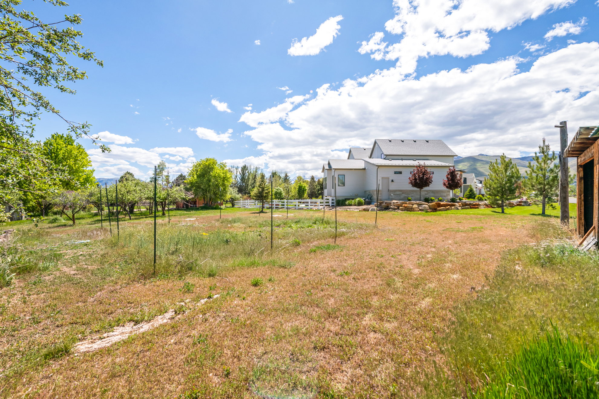 Expansive undeveloped lot with existing perimeter fencing and mature trees