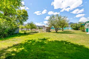 Spacious backyard featuring a manicured lawn, mature trees, and a mountain backdrop