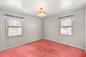 Bright room featuring twin windows, light-colored walls, red carpeting, white trim, and an overhead light fixture