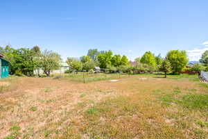 Expansive open lot featuring a clear blue sky, numerous mature trees, a partial white fence, and a distant mountain range
