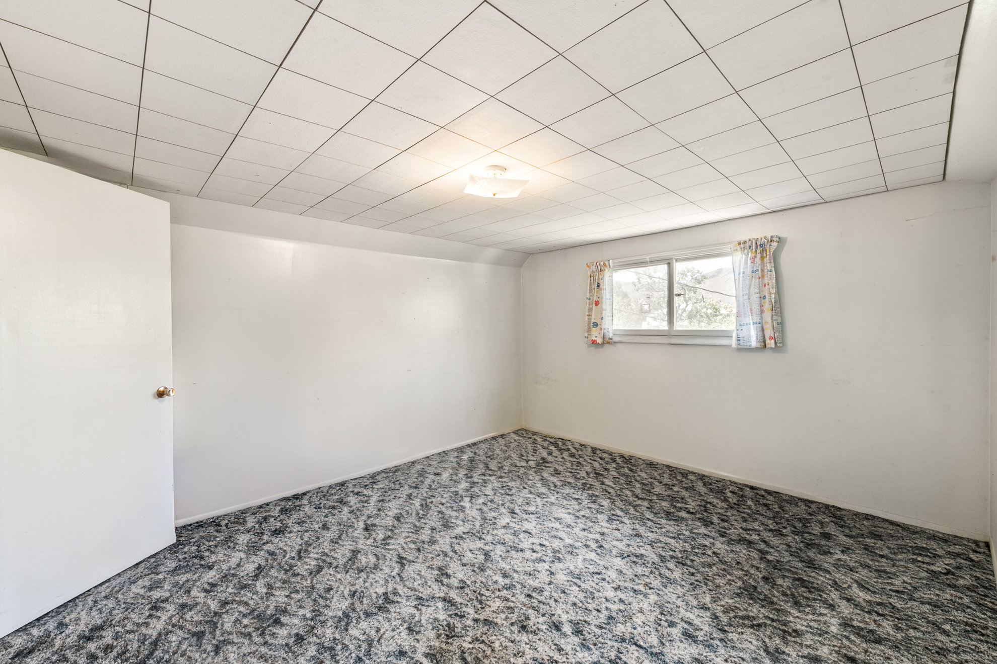 Carpeted room with white walls, a single window, and a ceiling light fixture