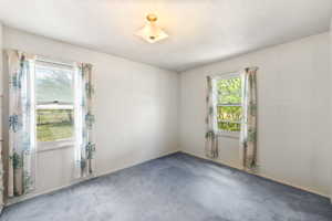 Carpeted room with white walls, two double-hung windows, and a flush-mount ceiling light fixture