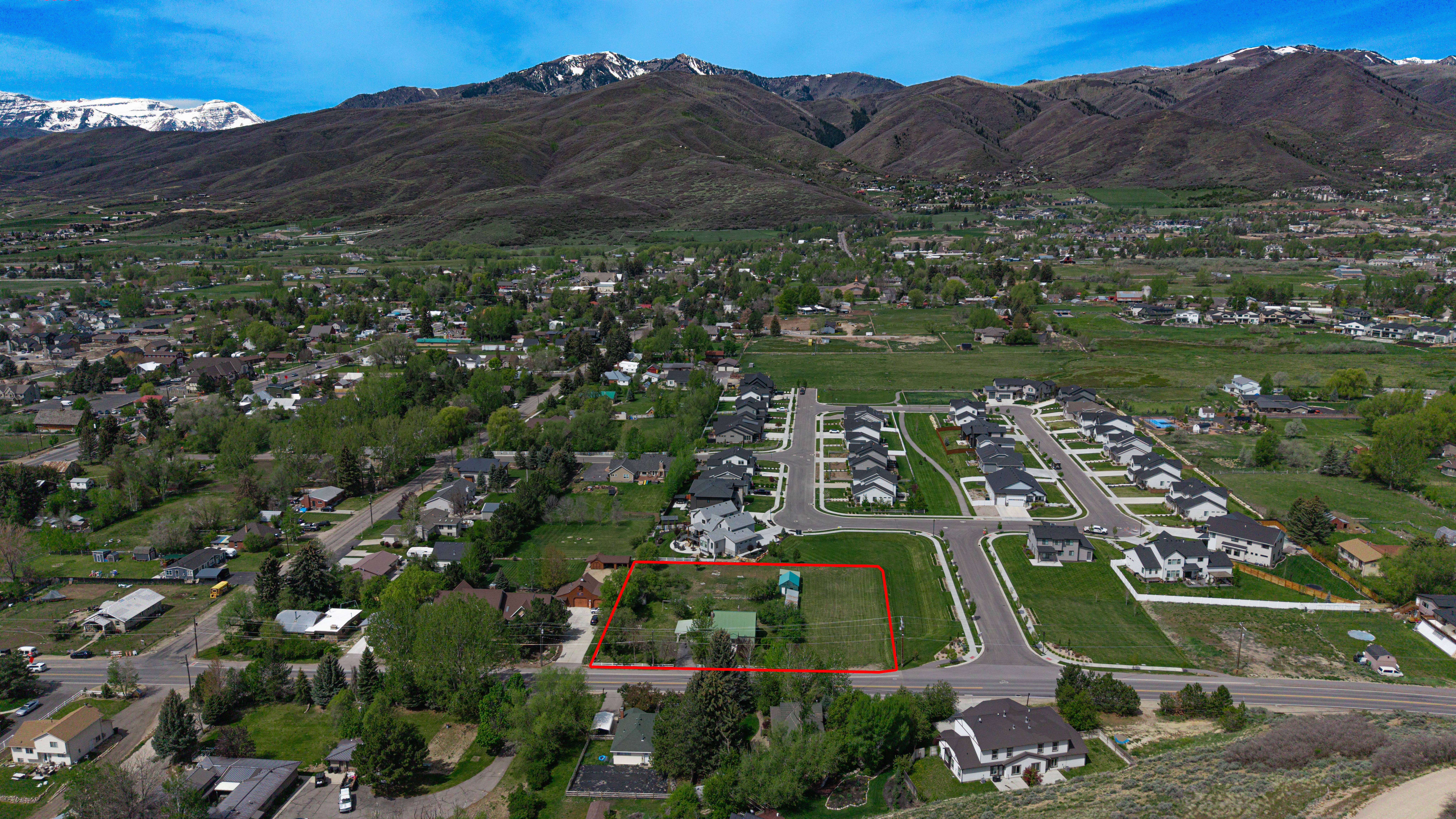 Expansive land parcel outlined in red, featuring mature trees and a flat topography