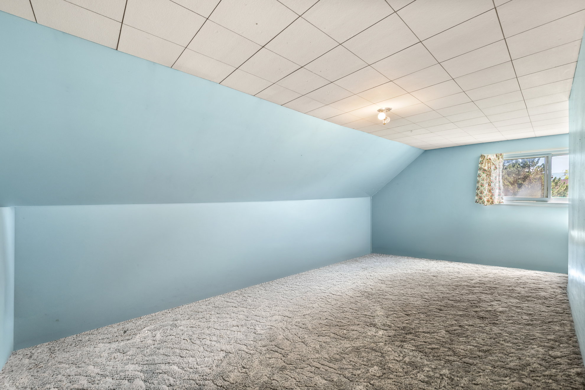 Attic space featuring sloped walls, light blue paint, and textured carpet flooring