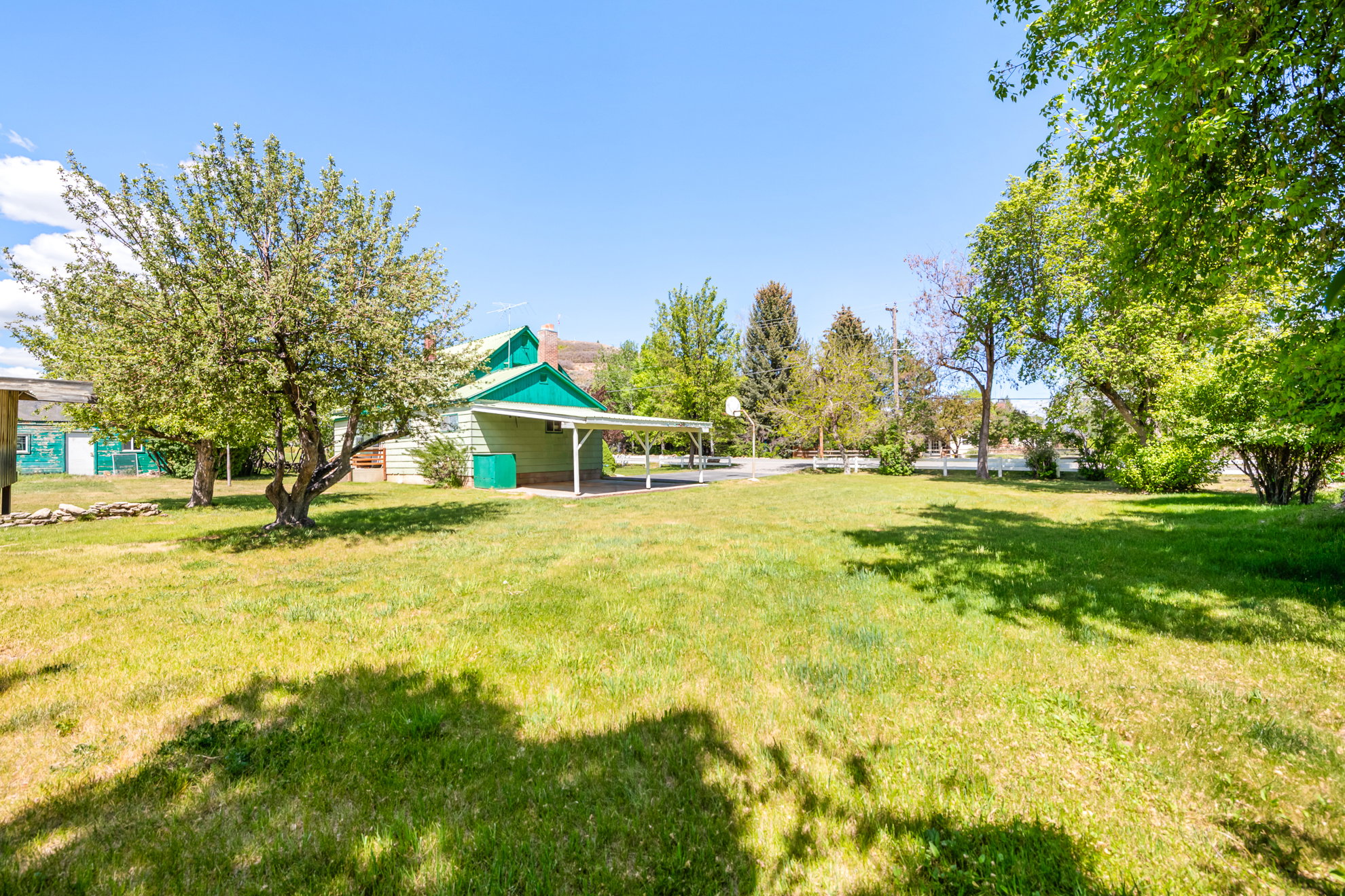 Expansive grassy yard area featuring mature trees, a carport structure, and a basketball hoop