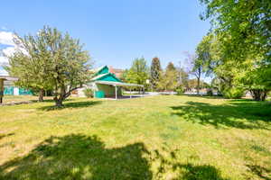 Expansive grassy yard area featuring mature trees, a carport structure, and a basketball hoop