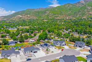 Lush green mountain backdrop framing a residential neighborhood