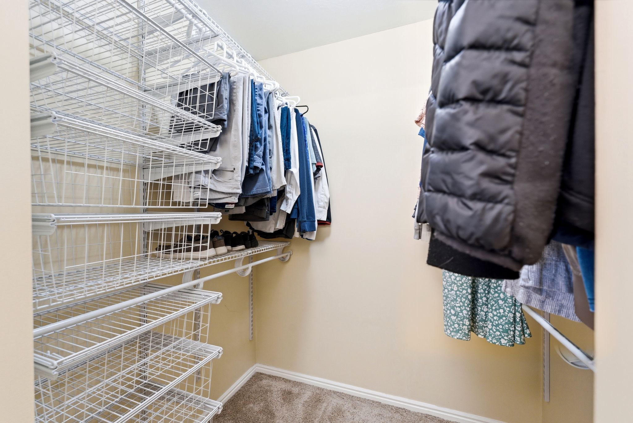 Walk-in closet featuring built-in wire shelving, hanging rods, and neutral-toned carpeting