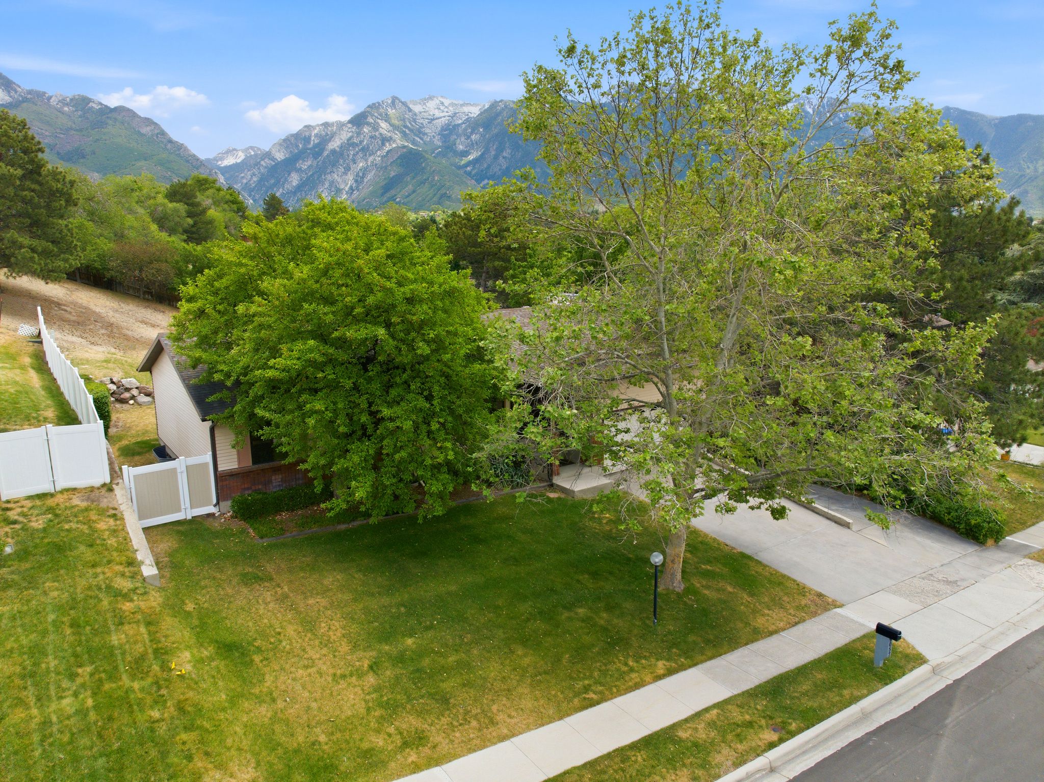 Expansive front yard featuring mature trees and a manicured lawn