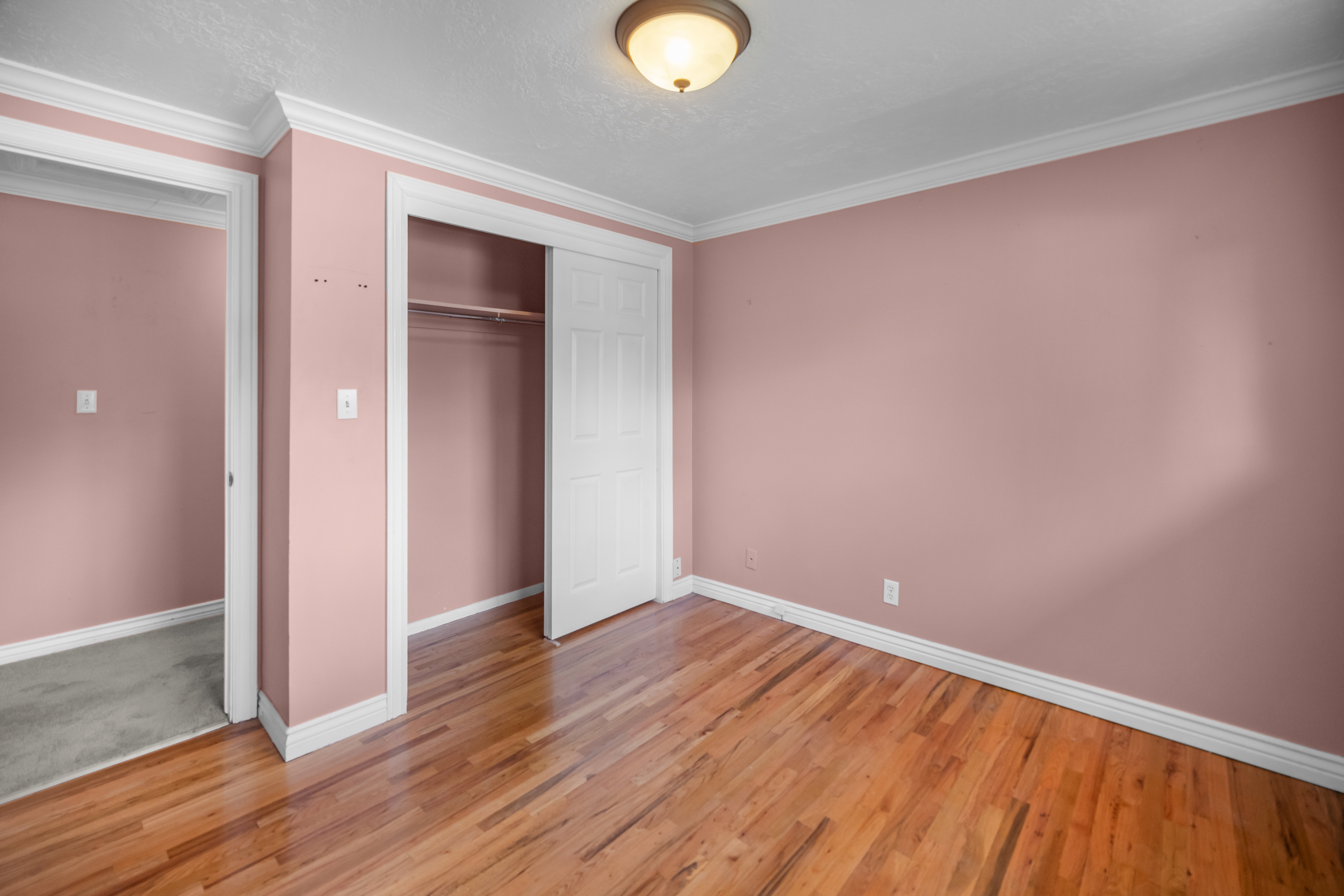 Hardwood flooring throughout featuring white baseboards, crown molding, and a built-in closet with bi-fold doors