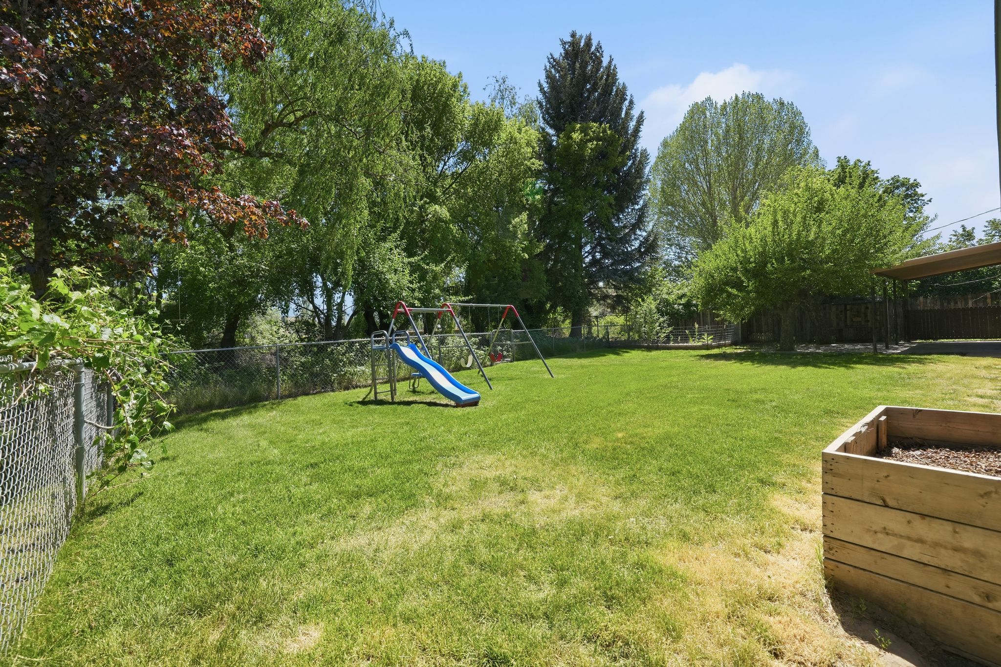 Expansive grassy yard area featuring a chain link fence, mature trees, and a wooden raised garden bed