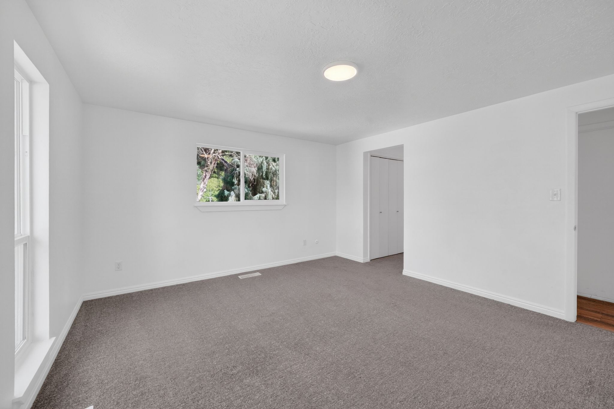 White-painted interior room with grey carpet flooring